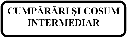 Rounded Rectangle: CUMPĂRĂRI sI COSUM INTERMEDIAR